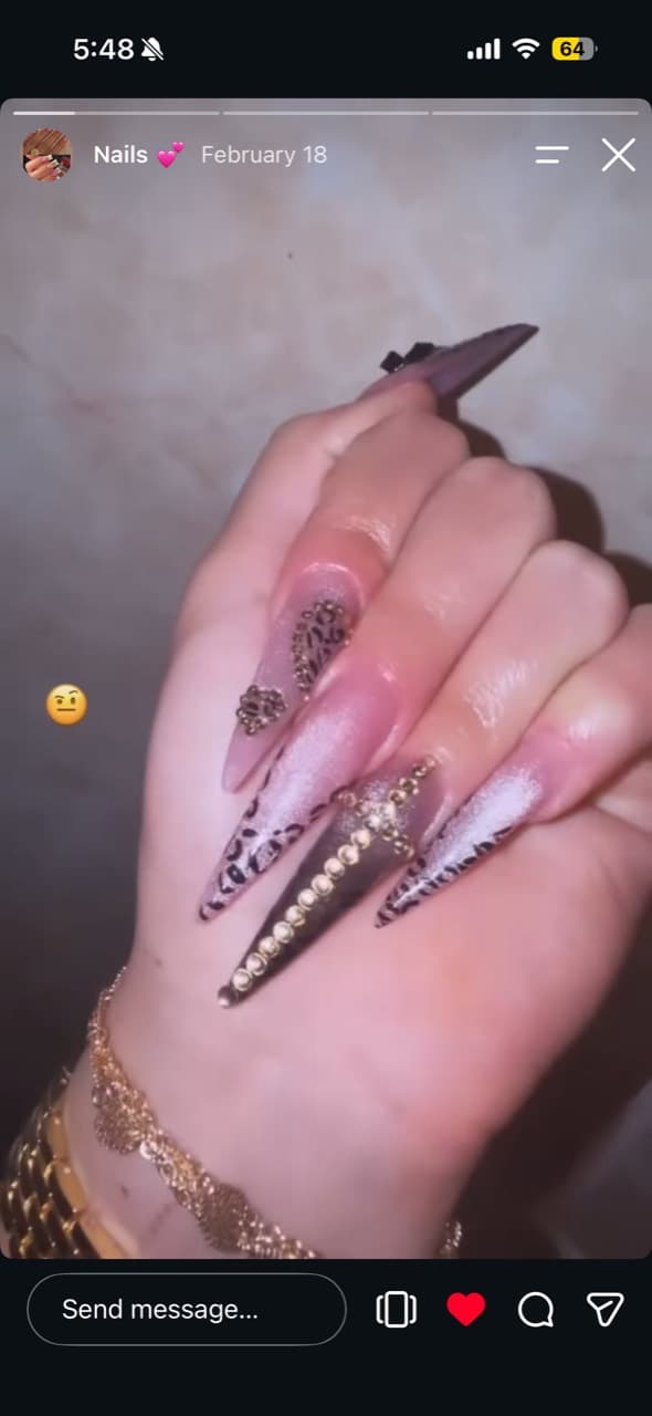 Luna’s long stiletto nails with leopard print, metallic finishes, and gold embellishments